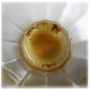 Amazon プロポリンス450ml ピエラス マウスウォッシュ 通販