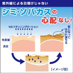 自然な小麦色に!約1週間で元通り