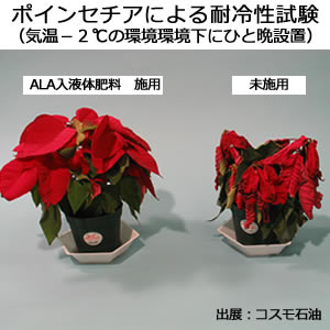 生命の根源物質！発酵法により量産化に成功！