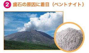歯石の原因に着目(ベントナイト)