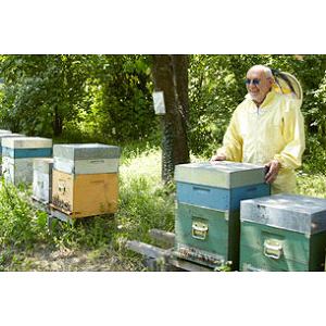 はちみつのこだわりは?