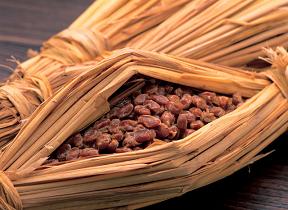 ナットウキナーゼ