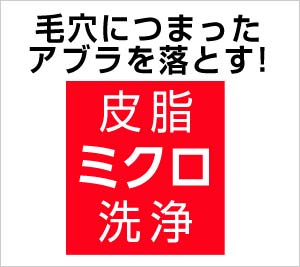 アブラをミクロレベルで粉砕するサクセスだから実現するその技術！