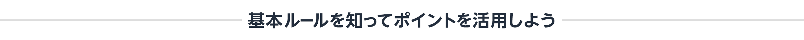 基本ルールを知ってポイントを活用しよう