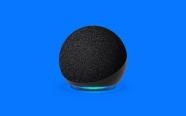 Echo Dot