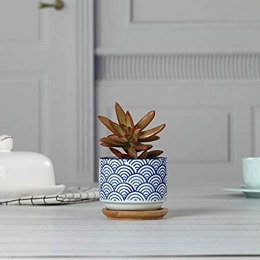 Low-cost home décor