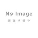 大昭和精機 BIG スピンドルクリーナー SC-HSK100 (221-2218)