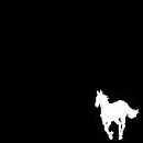 White Pony