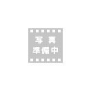 日東工器　アトラ　A-3000用パイロットピン 75597