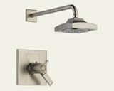 Delta T17T286-SS Arzo Tempassure 17T Series Shower Trim, Stainless [並行輸入品]