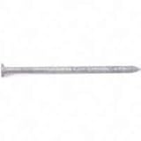 Acorn Manufacturing CB20ZL 20D Boat Nail44; 50 lbs