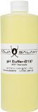 Aqua Galaxy 7.01 Buffer Solution, 1-Pint [並行輸入品]