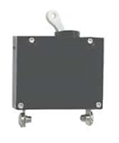 Sierra International cb40240 20 Amp DC切り替えタイプ回路遮断器、ホワイト