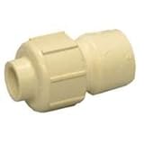 Genova #530101 1/2x3/8 CPVC Adapter [並行輸入品]