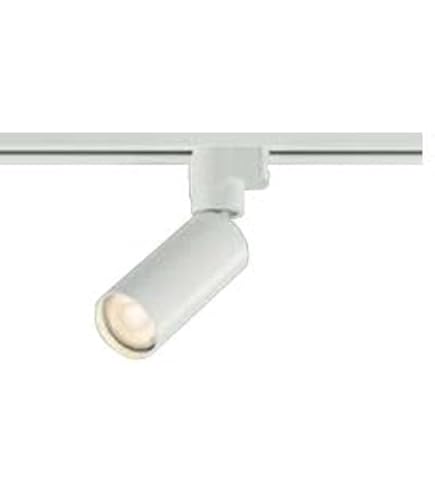 Amazon | 大光電機（DAIKO） スポットライト LED 8W 電球色