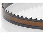 Timber Wolf Bandsaw Blade 115 x 1/4 x 6 TPI Positive Claw [並行輸入品]