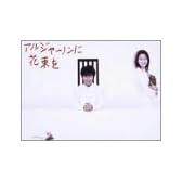 アルジャーノンに花束を DVD-BOX