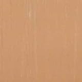 東リ ビニル床タイル MSフレッシュ サイズ 30cm×30cm 色 MS5503 50枚セット【日本製】