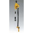 遠藤工業 (ENDO) エアホイスト 【定格荷重60kg/揚程1.9m】 EHW-60R