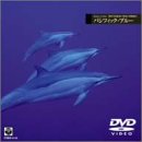 Echoes of Sea(1) �C�m�ʐ^�� ��������̉f���I�s �p�V�t�B�b�N�E�u���[