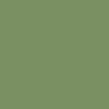 RAFインテリアグリーン　MMP水性塗料　MISSION MODELS[MMP079] RAF Interior Green