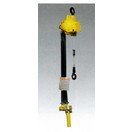 遠藤工業 (ENDO) エアホイスト 【定格荷重160/200/250kg/揚程2.5m】 AH-250R