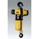 遠藤工業 (ENDO) エアホイスト 【定格荷重2.8t/揚程3m】 EHL-2.8TS
