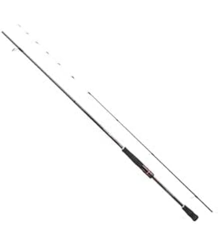 セフィア ci4+s803mとセフィア ci4+ c3000Sセット Amazon | シマノ(SHIMANO) エギングロッド セフィア CI4+ S806M