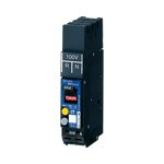 パナソニック(Panasonic) 漏電保護2P1E20A30mA RN BKFE22031RNK