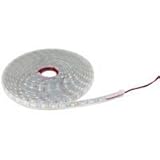 NTE Electronics 69-53RGB Flexible Led Strip 16.4' Reel 150 Led Non-Waterproof Led Size 5050 12 VDC 3
