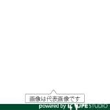 日本精器 フィルタ付減圧弁10A BN3RTOF10