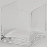 ガラスプランター　レギュラーキュープ