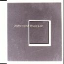 �u���[�X�E���[