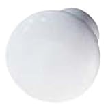 ノブinホワイト