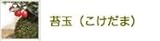 苔玉 ミヤマキリシマの苔玉