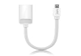 Belkin Mini DisplayPort - HDMIアダプター