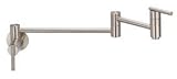 Danze D205058SS Parma Wall Mount Single-Handle Pot Filler with Lever Handle, Stainless Steel [並行輸入品]