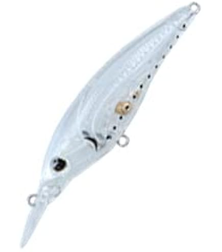 スティーズシャッド Amazon.co.jp: ダイワ(DAIWA) バス スティーズ シャッド 赤羽