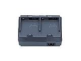 Canon コンパクトパワーアダプター CA-400