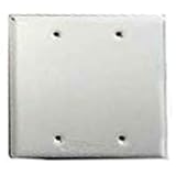 Hubbell-Bell 5175-1 2-Gang Blank Weatherproof Cover [並行輸入品]