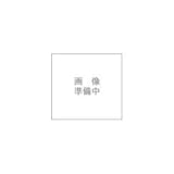 サカエ 静電気防止キャスター　プレート式自在（ストッパー無）　SSTM-75VAE