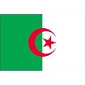 アルジェリア 国旗 [ ミニフラッグ ポール 吸盤付き 高級テトロン製 ]