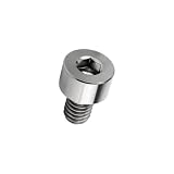 EALE キャップボルト M4×6mm P0.7 チタンボルト 六角穴付き シルバー