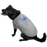 NCAAケンタッキーWildcatsペットTシャツ L ブラック