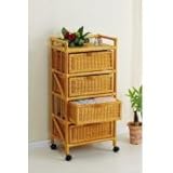 今枝商店 ランドリースリムタイプ E47