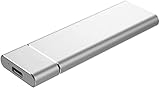 超高速外付けSSD、ポータブルモバイルソリッドステートドライブ、コンピューター、携帯電話に最適 (Silver,1TB)