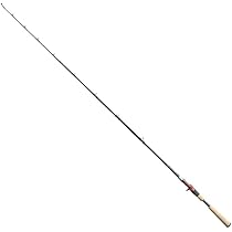 Amazon | フィッシュマン BC4 5.10H | FISHMAN | バスロッド