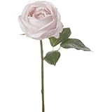 フェミニンオールドローズ P