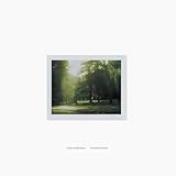 Polaroid Piano (15th Anniversary Edition) (AMIP-0396LP) [Analog]