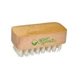 Green Sprouts Baby Nail Brush (3 Pack) by green sprouts [並行輸入品]